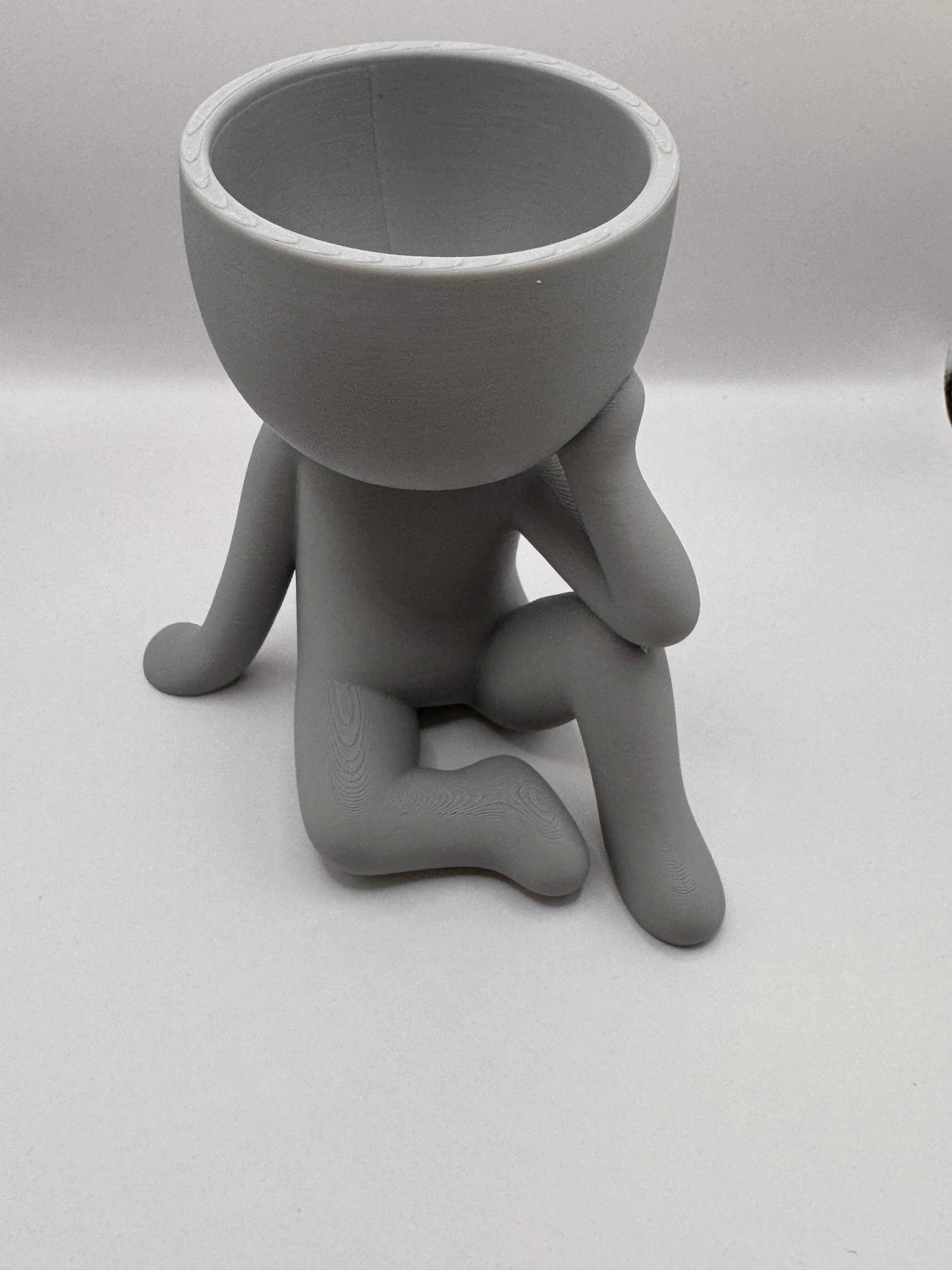 Thinking man succulent pot