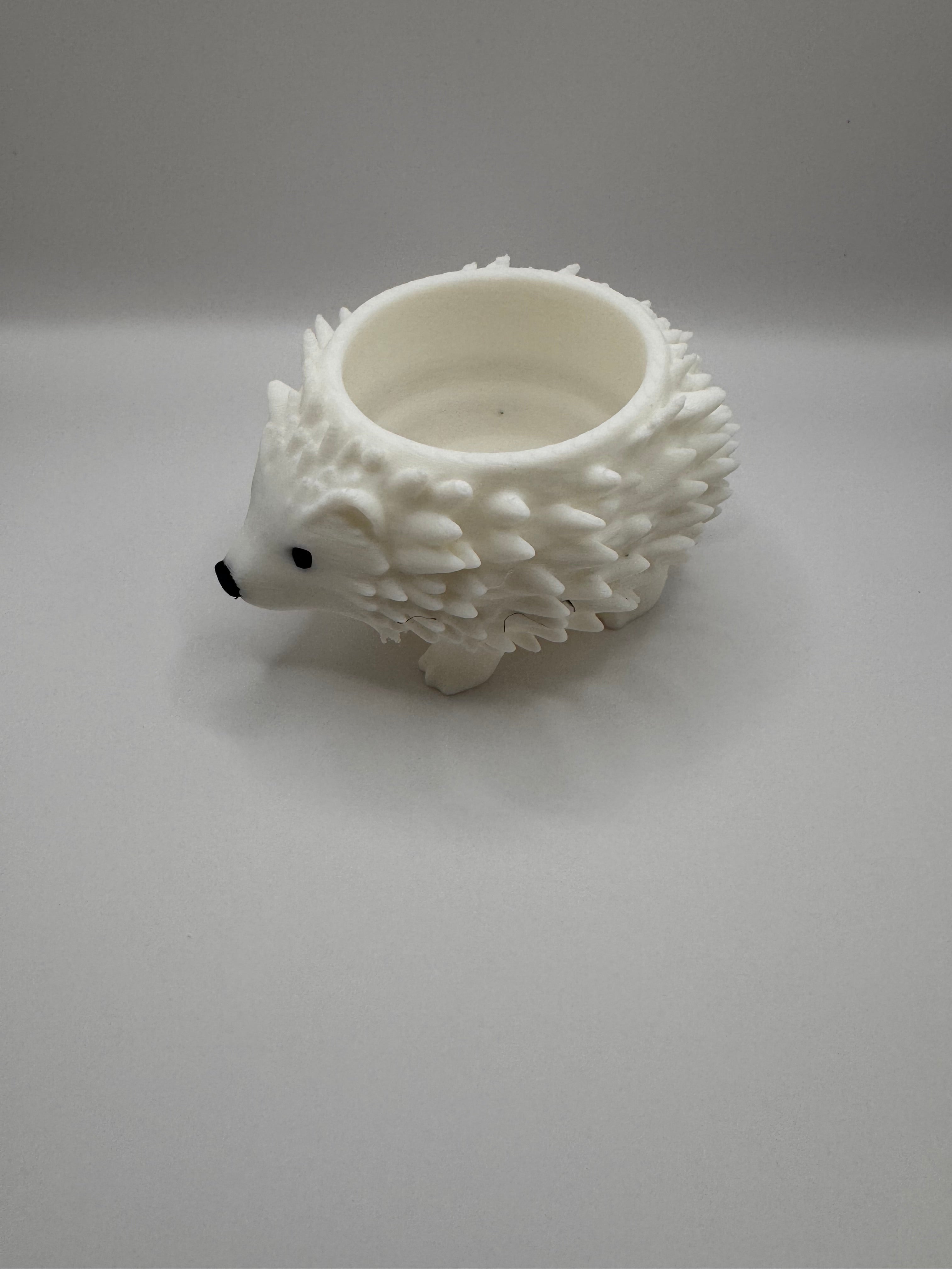 Porcupine planter