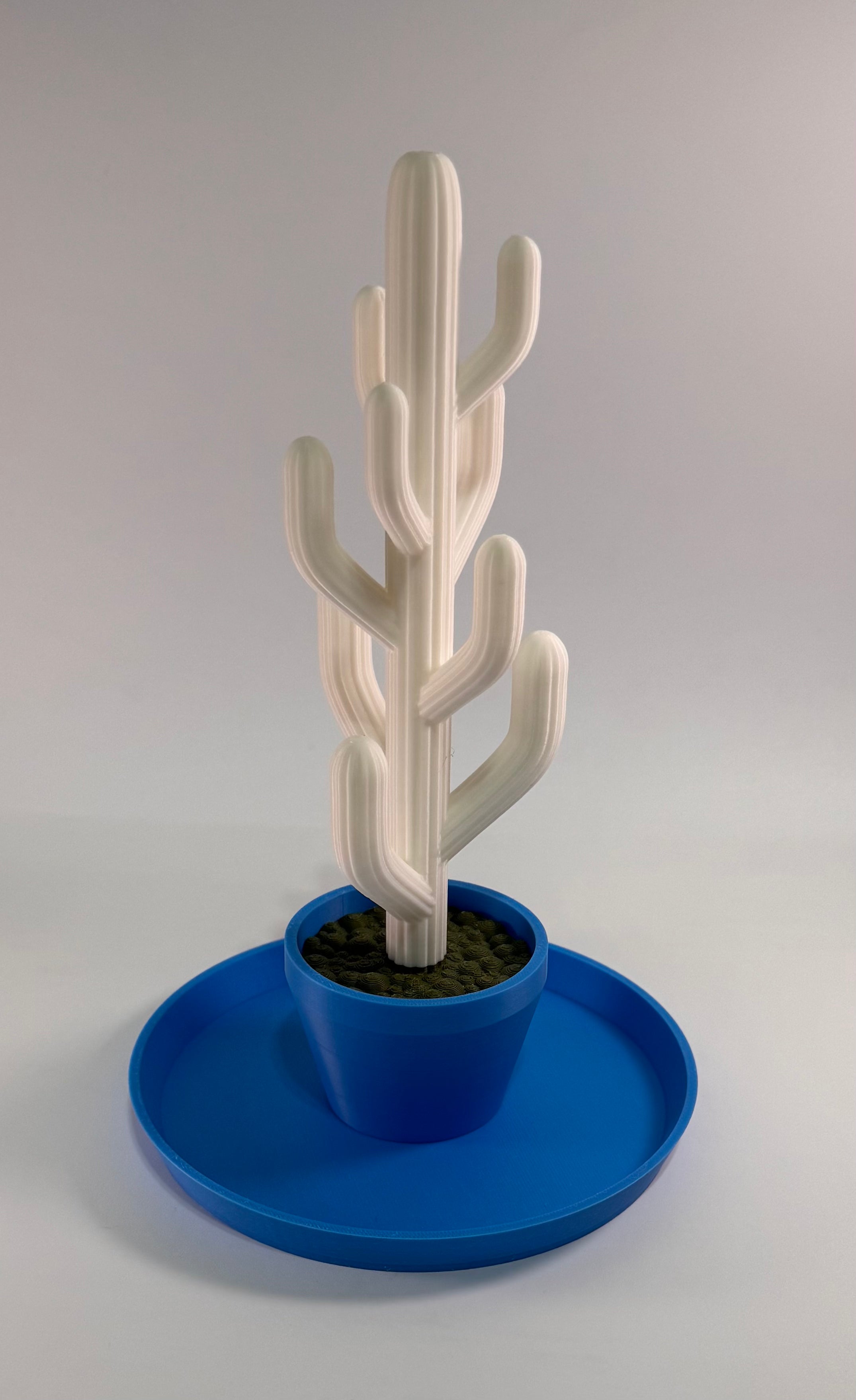 3D printed cactus decoration
