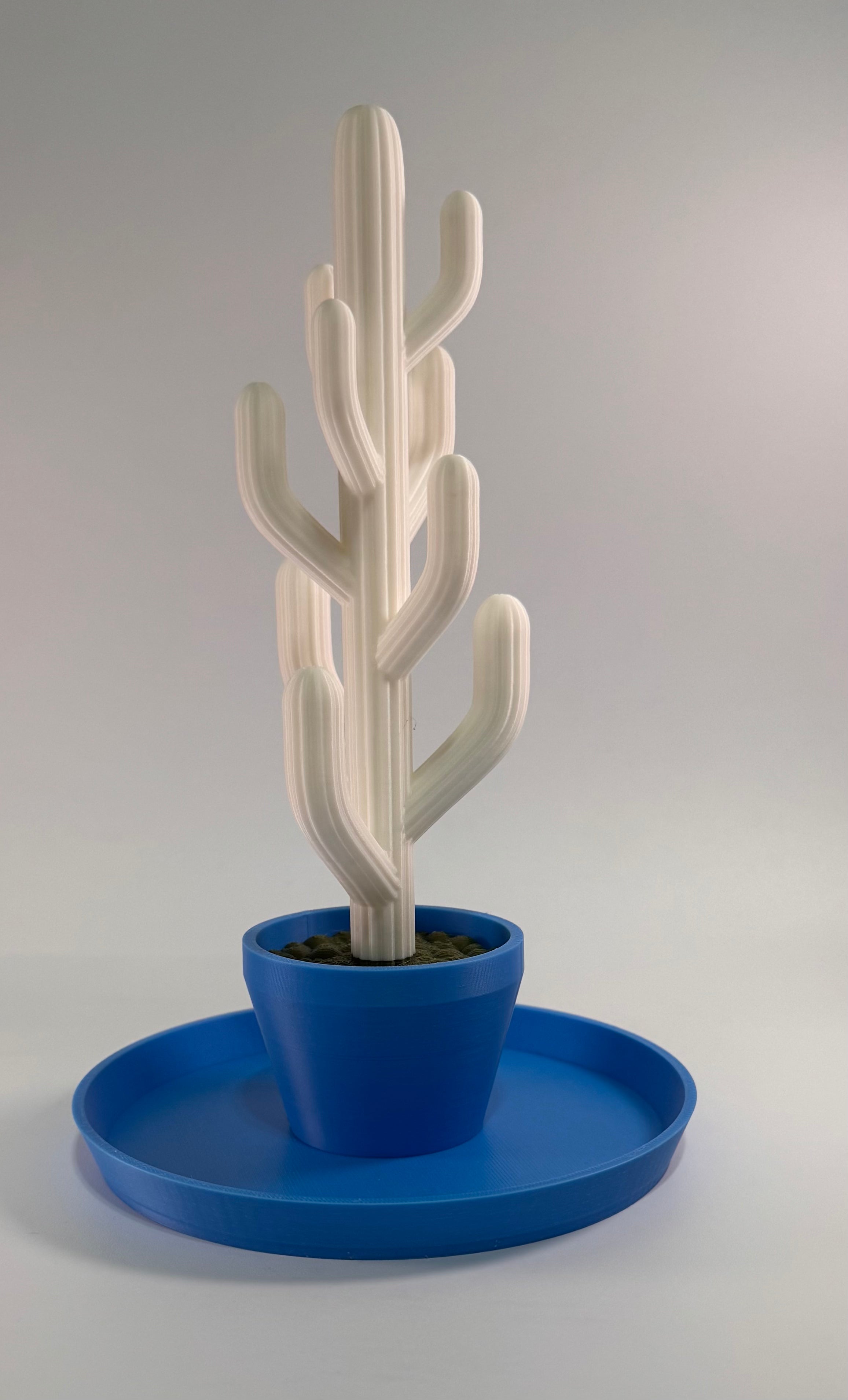 3D printed cactus decoration