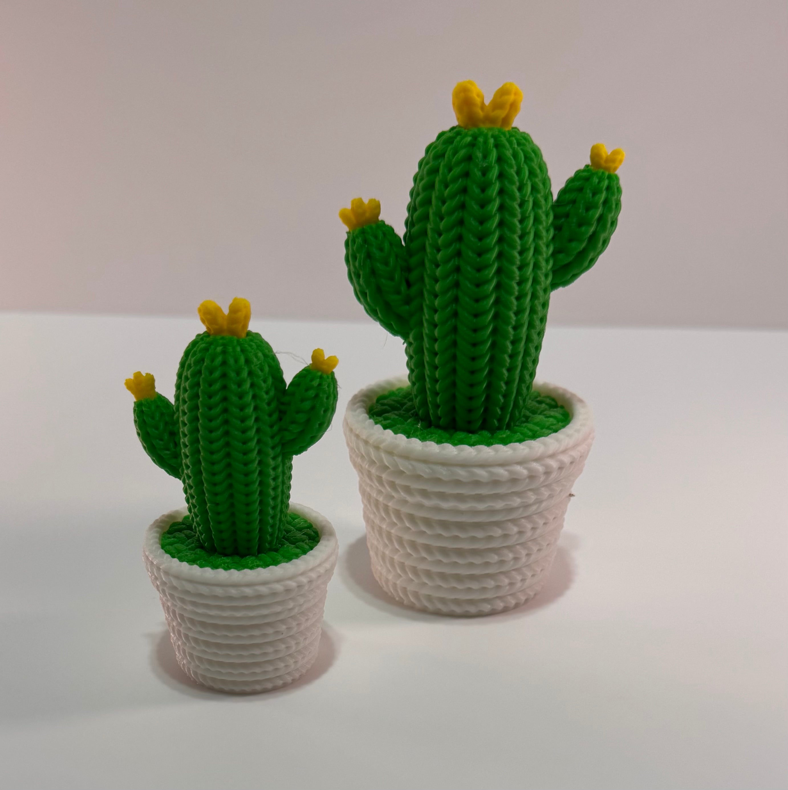 Desktop cactus decoration