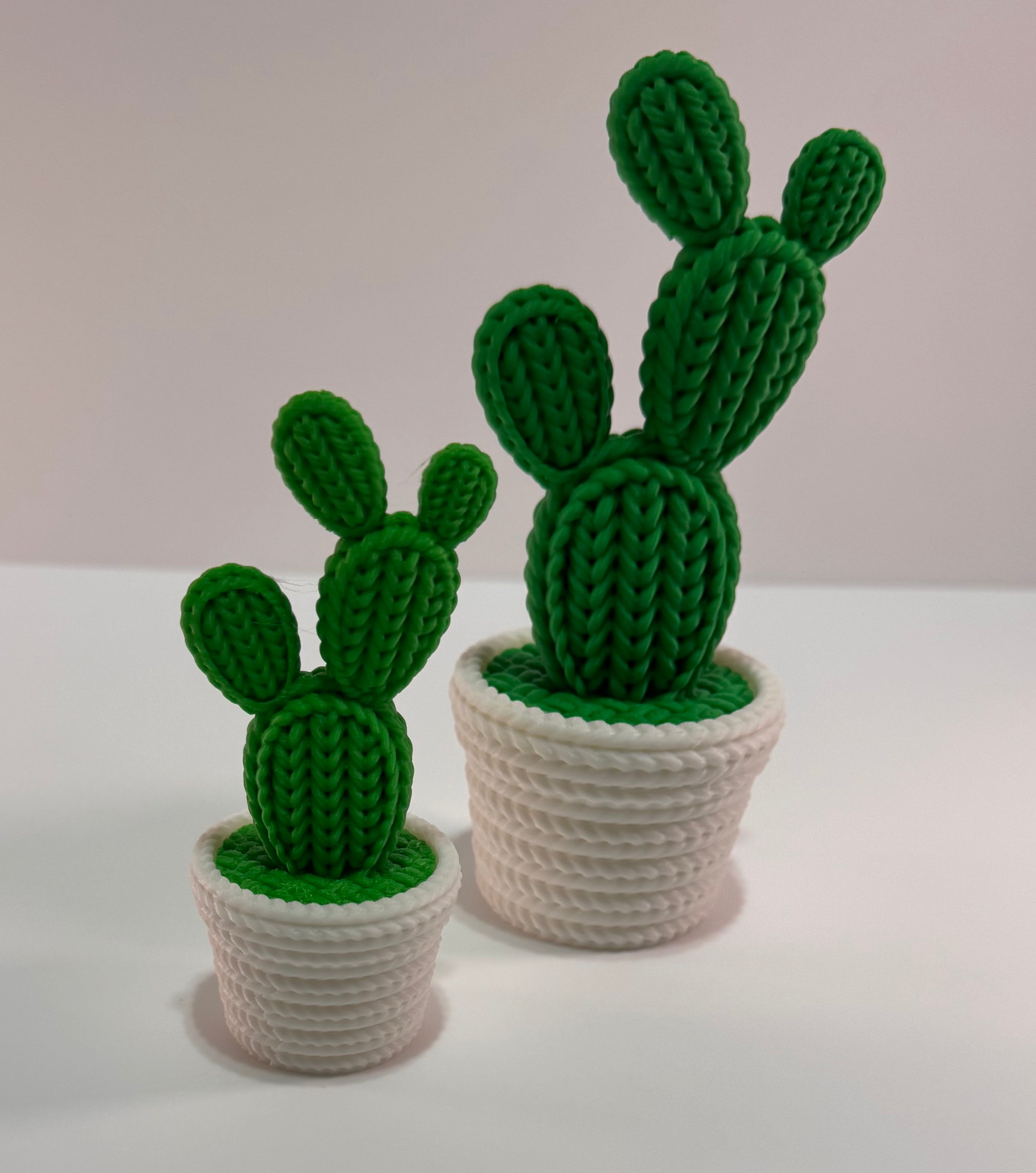 Desktop cactus decoration