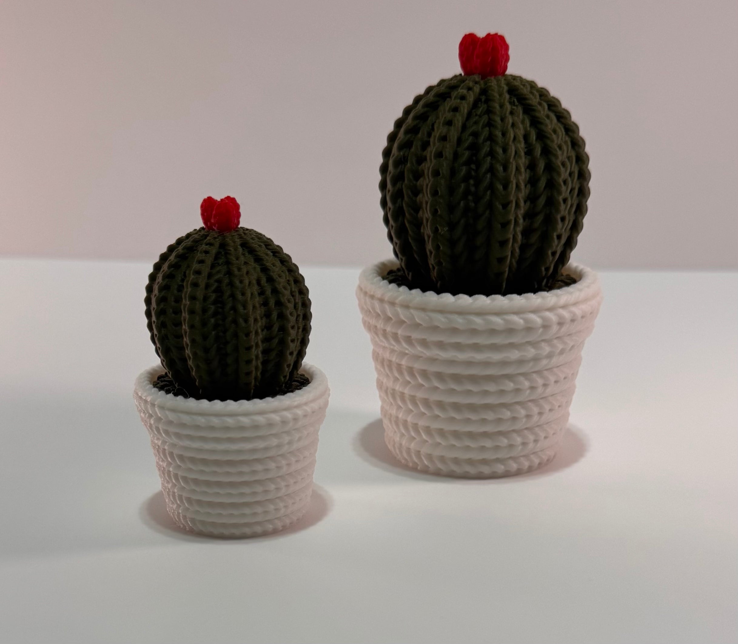 Desktop cactus decoration