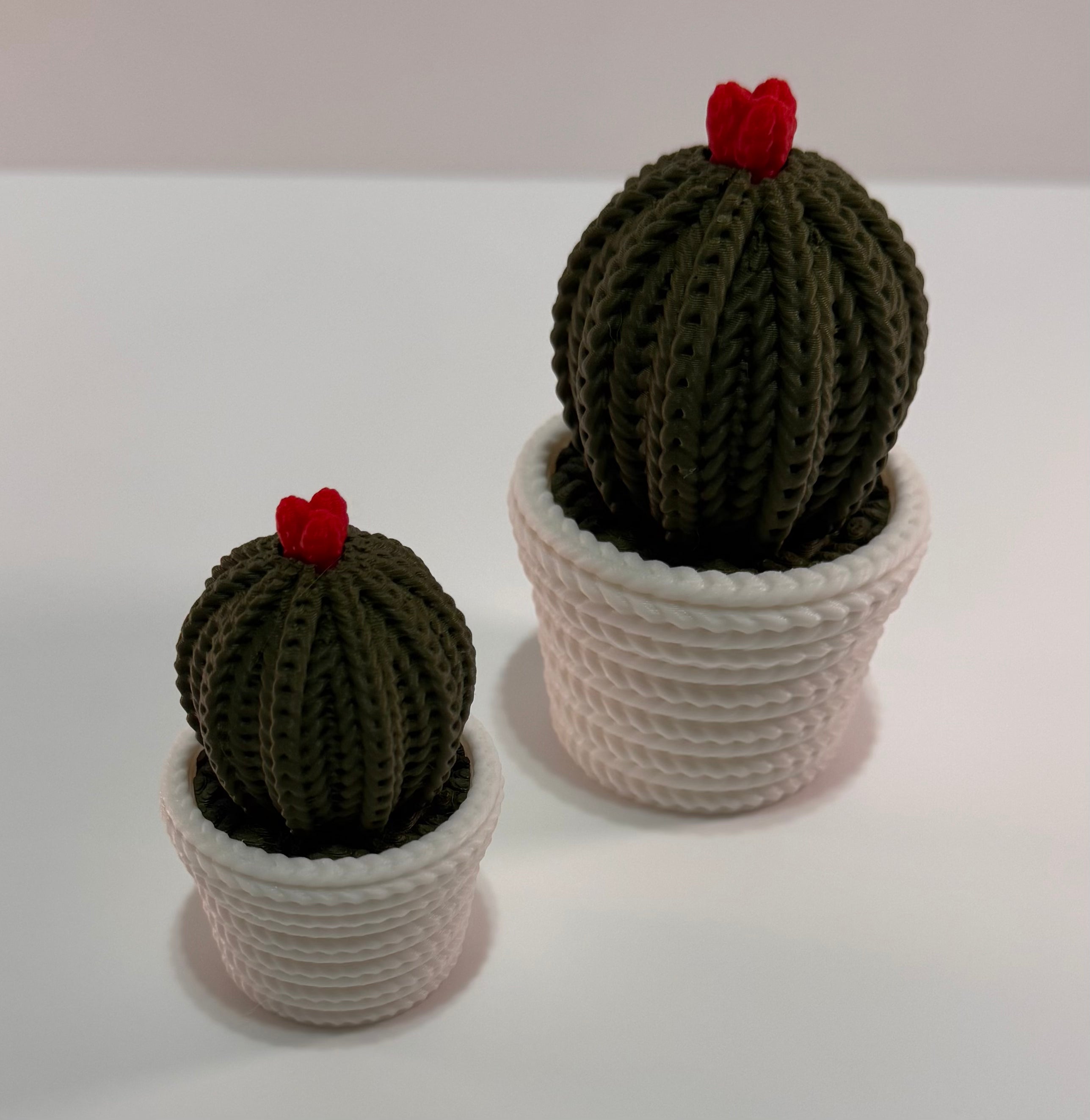 Desktop cactus decoration