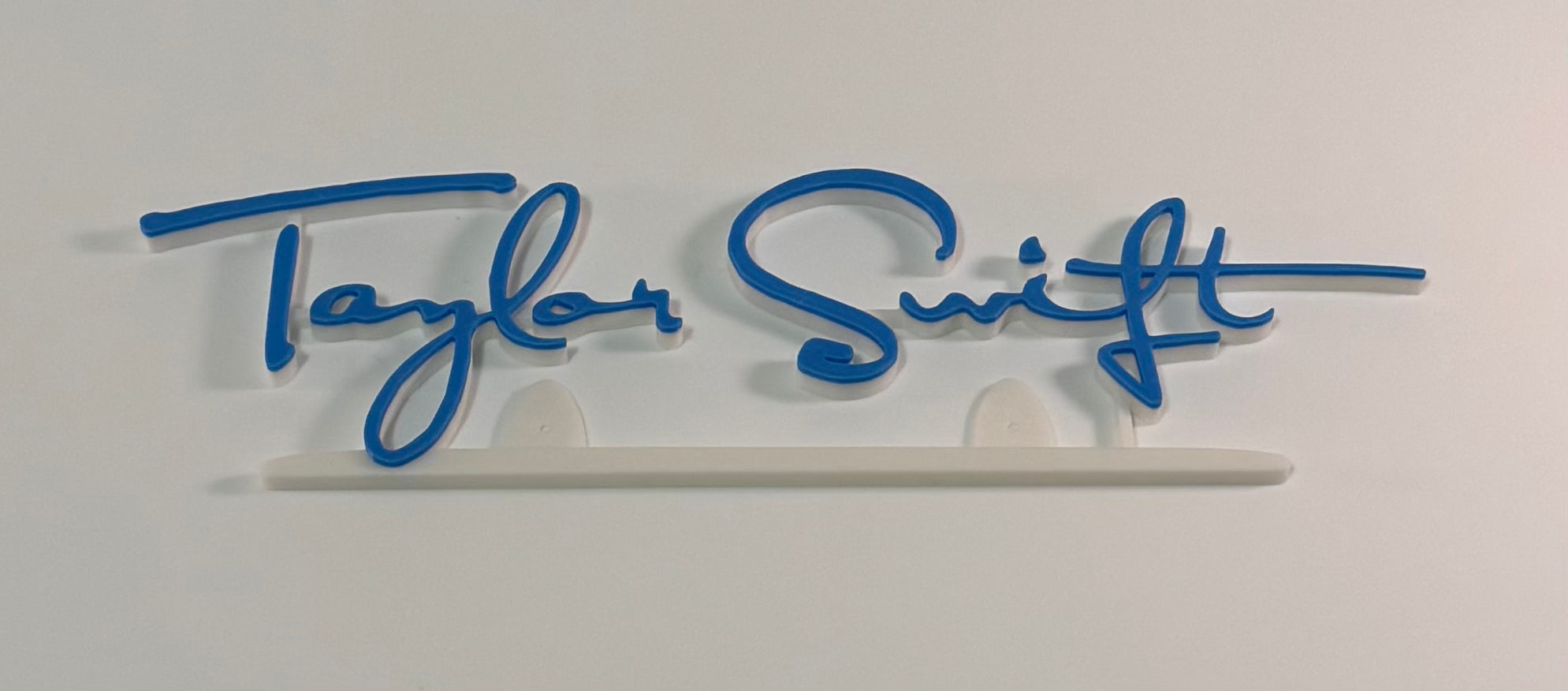 Taylor Swift wall decor