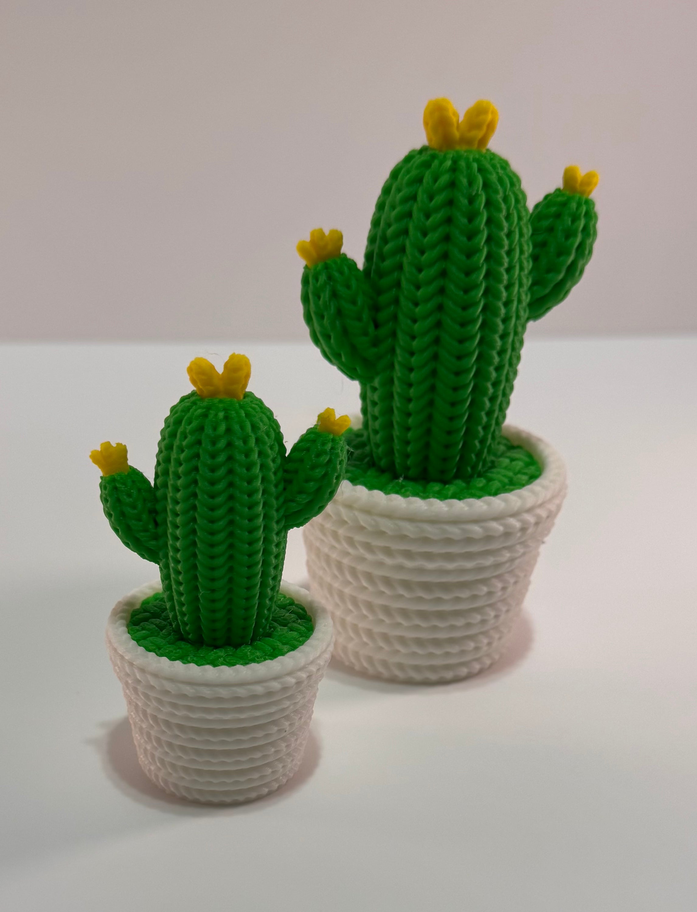 Desktop cactus decoration