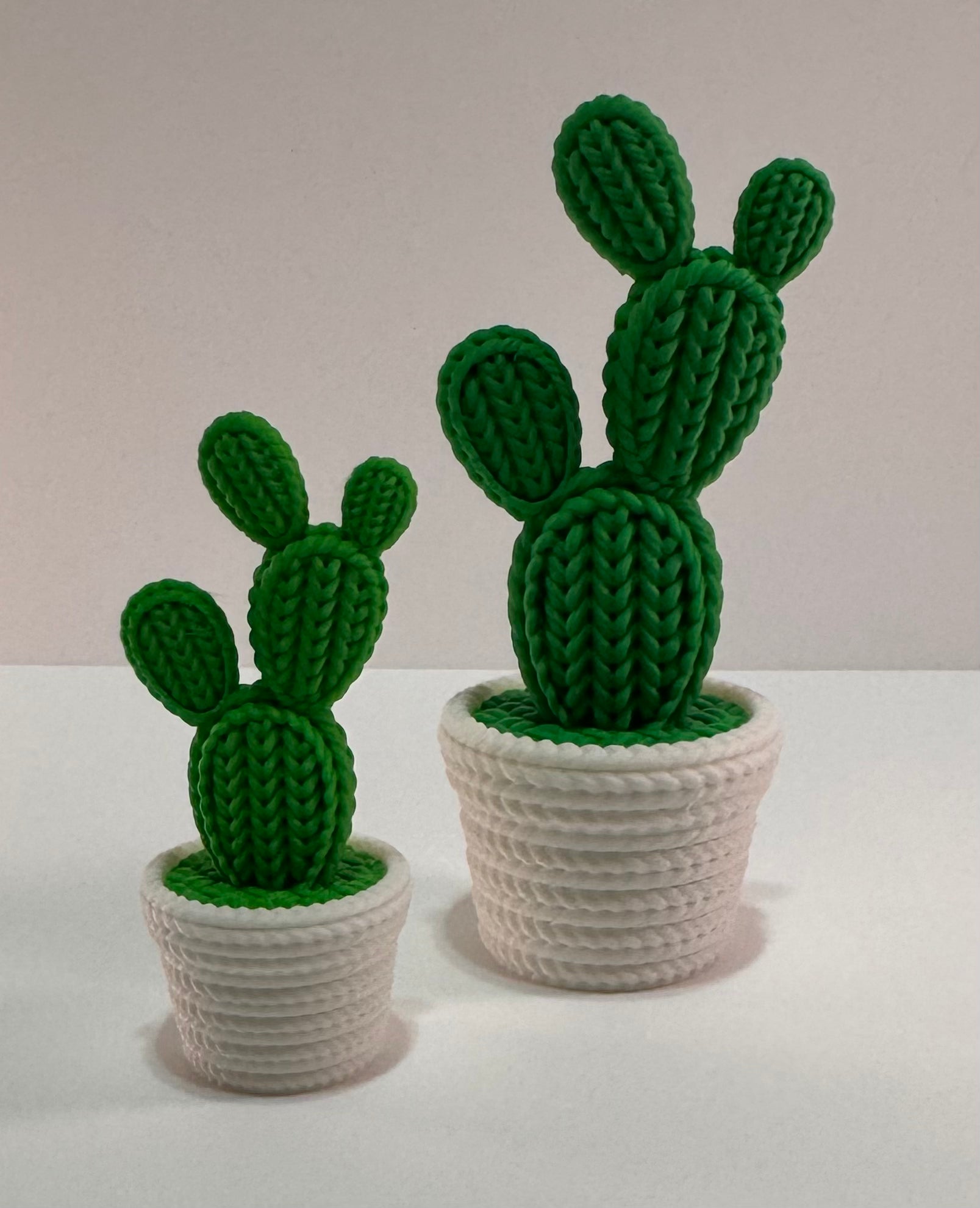 Desktop cactus decoration